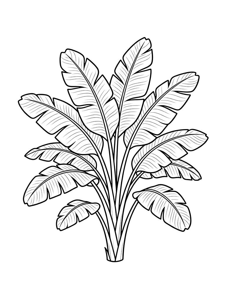 Banana Leaf Cluster Coloring Page