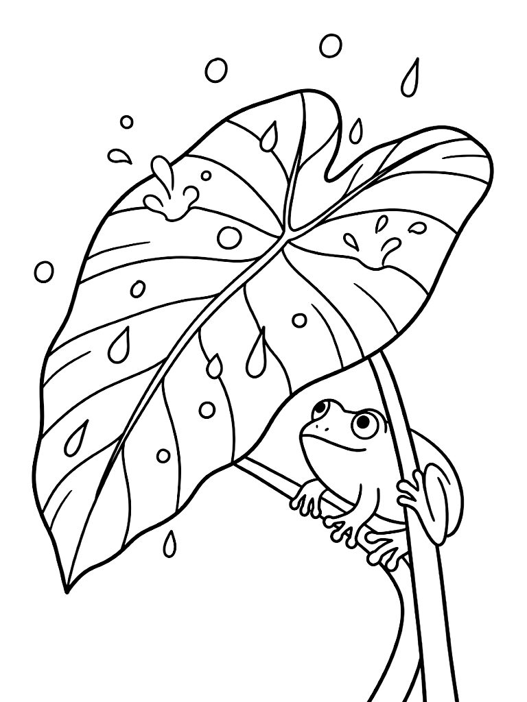 Close-Up Of A Giant Elephant Ear Tropical Leaf Catching Large Rain Drops While A Tiny Green Tree Frog Shelters Underneath Coloring Page