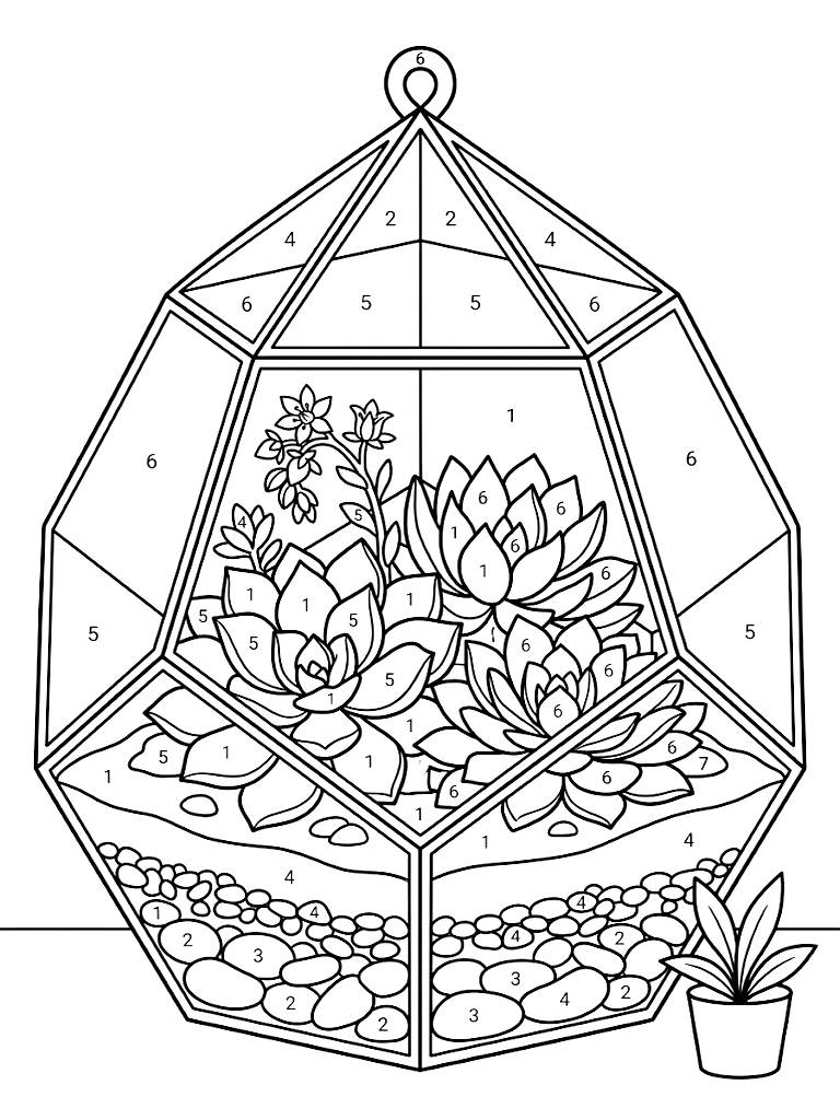 Color By Number Geometric Glass Terrarium Filled With Layered Sand Smooth Rocks And Blooming Echeveria Succulents Coloring Page