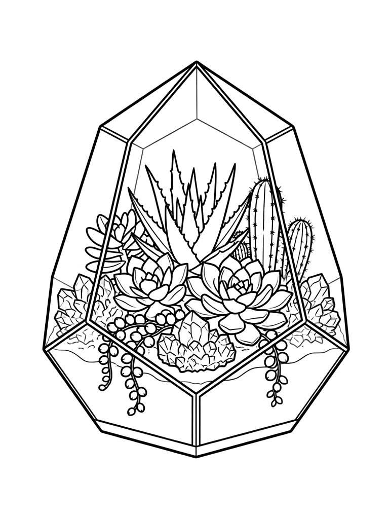 Geometric Glass Terrarium Containing Diverse Succulents And Raw Amethyst Clusters Coloring Page