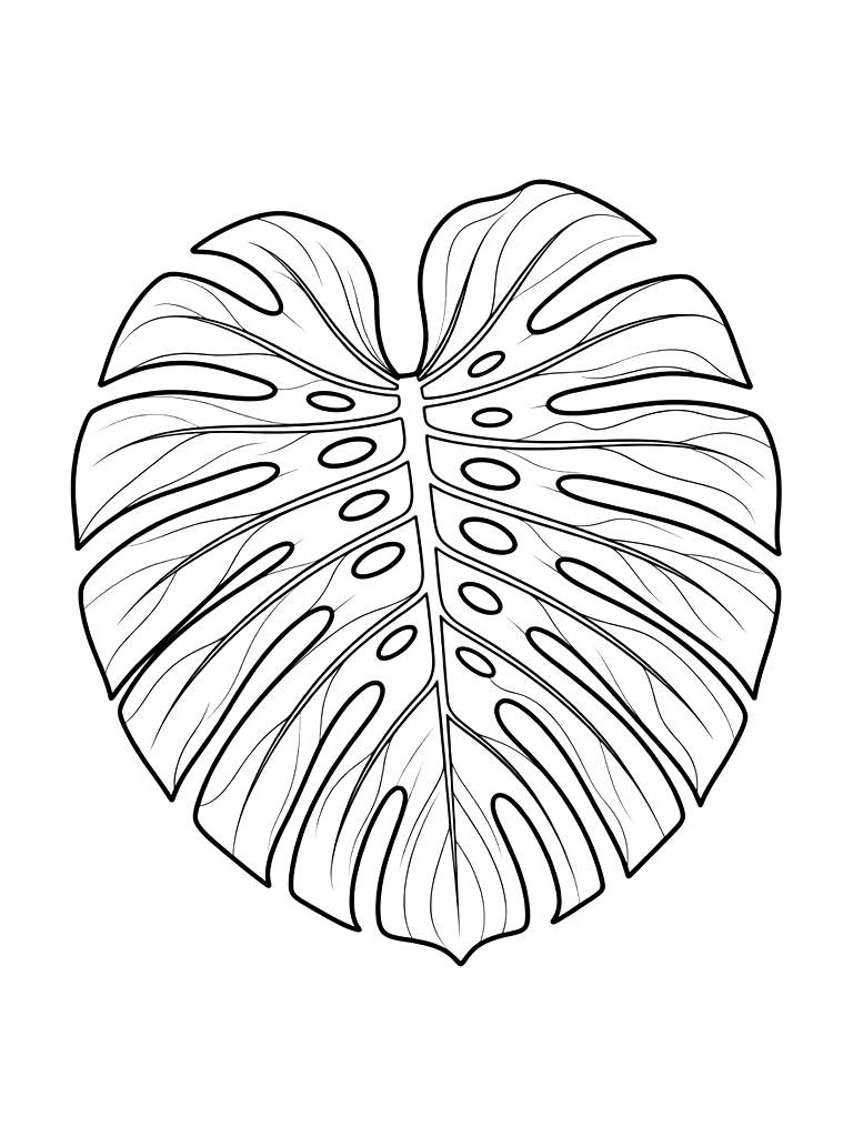 Massive Variegated Monstera Deliciosa Leaf With Intricate White Patterns And Holes Coloring Page