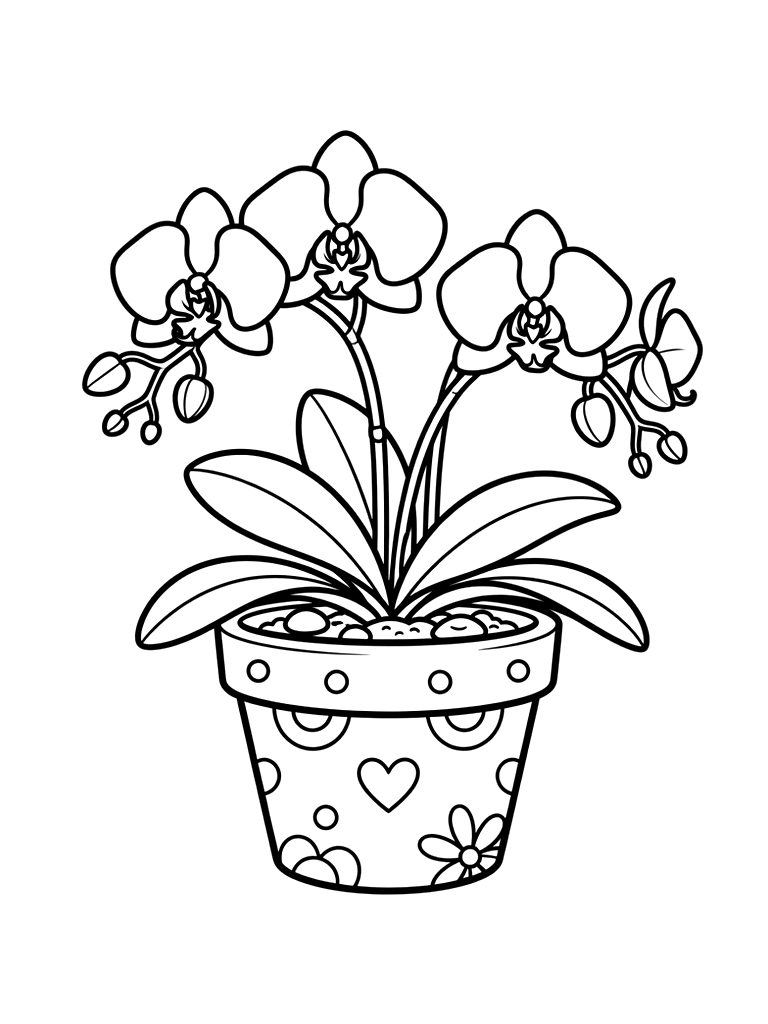 Orchid Pot Arrangement Coloring Page