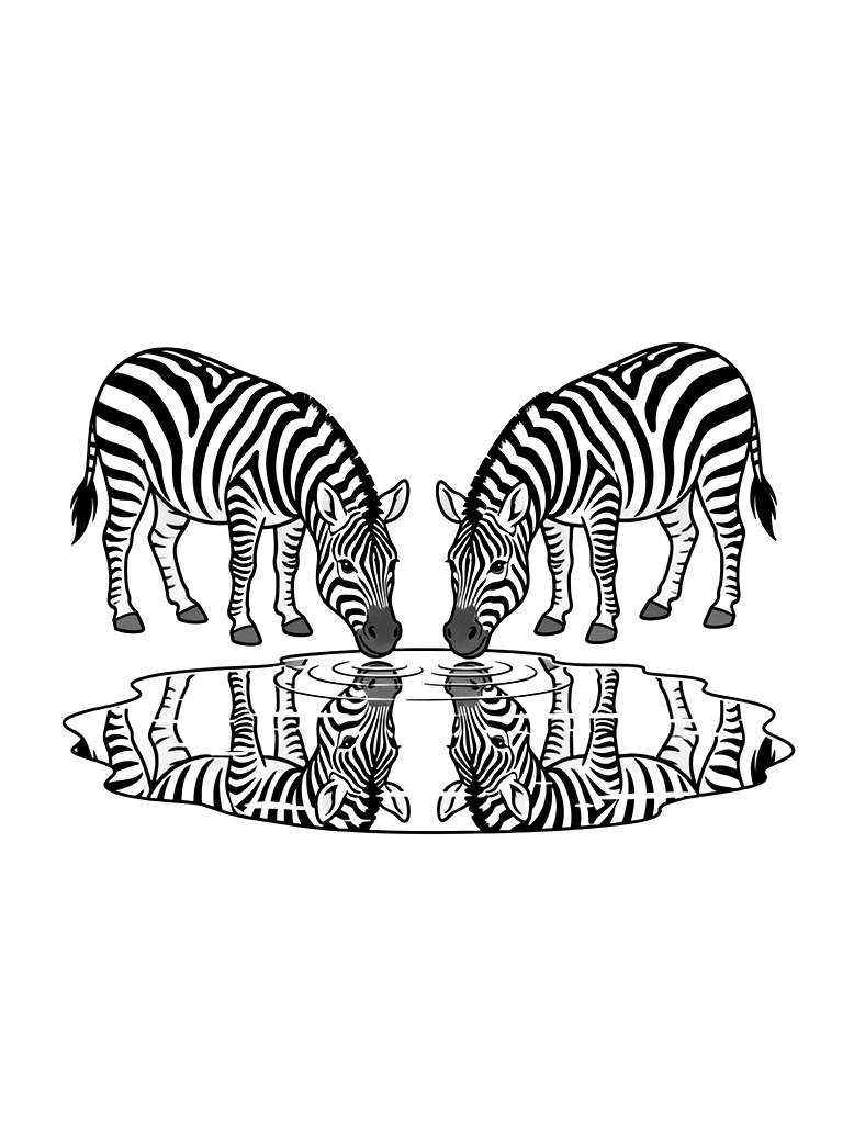 Pair Of Zebras Drinking At A Watering Hole With Their Stripes Reflecting In The Still Water Coloring Page
