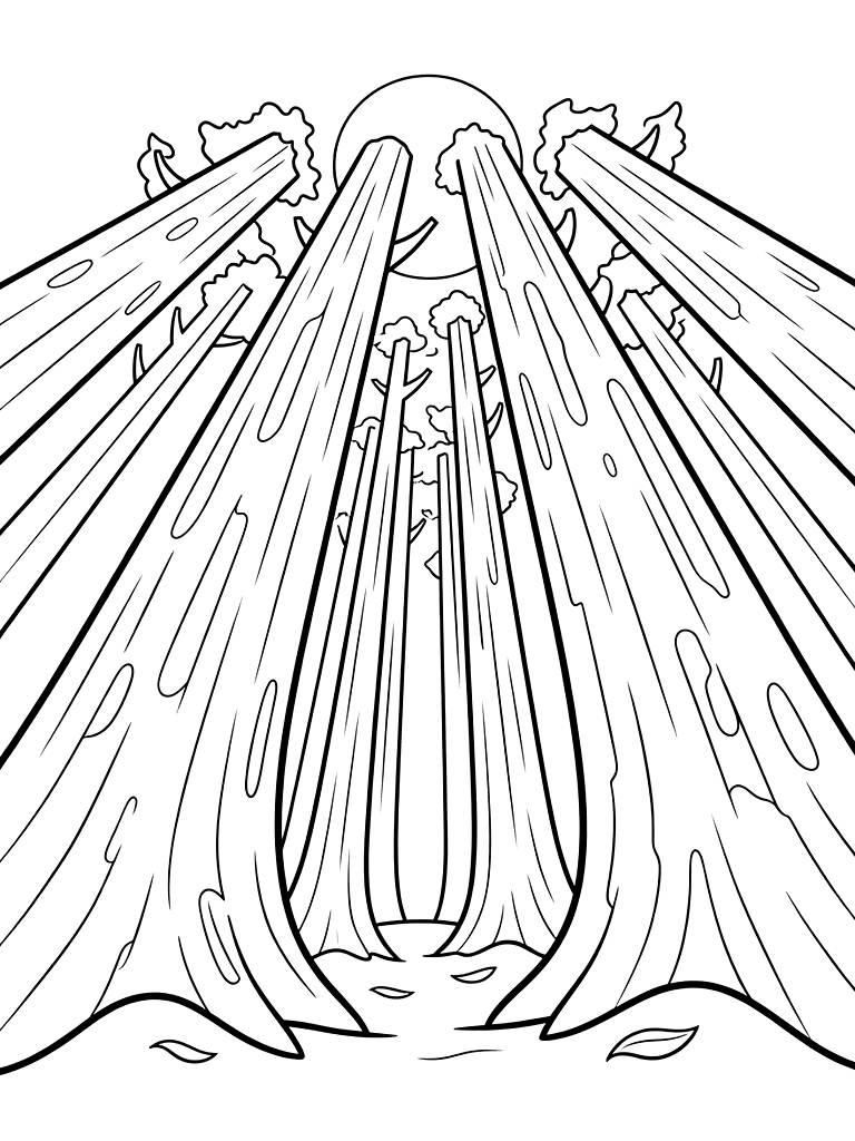 Perspective Looking Up From The Forest Floor At Massive Trunks Of Ancient Redwood Trees Reaching The Sky Coloring Page