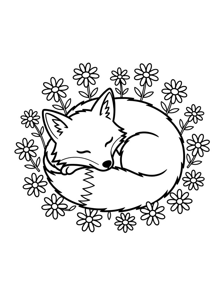 Red Fox Curled Up In A Circle In The Middle Of A Field Of White Daisies Coloring Page