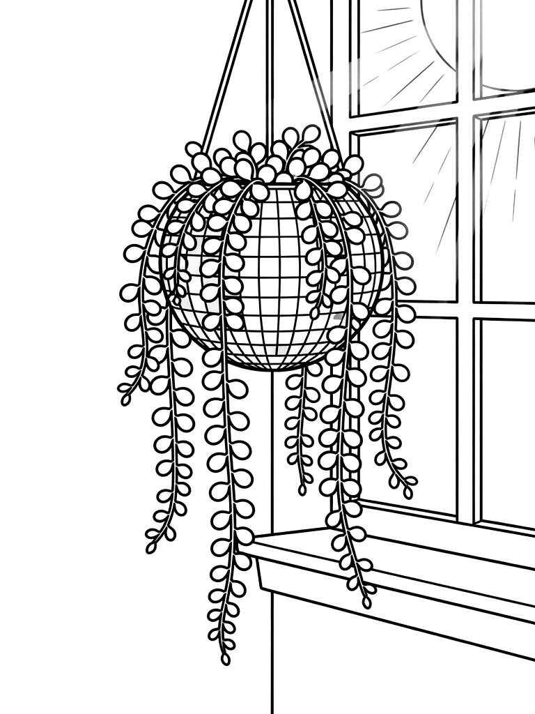 String Of Pearls Succulent Cascading From A Hanging Disco Ball Planter In A Sunny Window Coloring Page