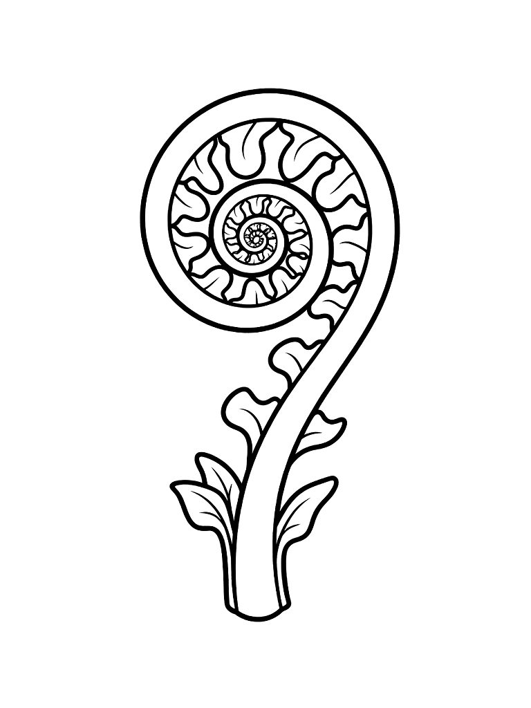 Unfurling Fiddlehead Fern Coloring Page