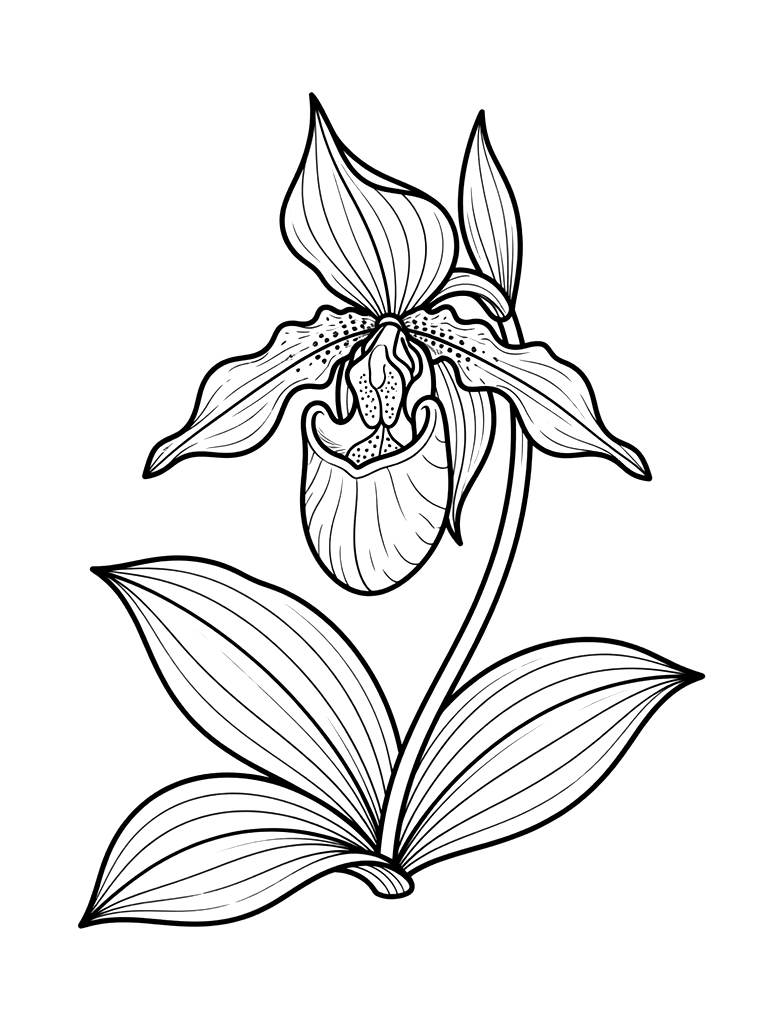 Wild Orchid In Forest Coloring Page
